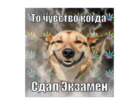 Поздравляю с успешной сдачей экзамена