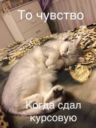 Открытка с успешной сдачей экзамена
