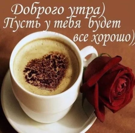 Пожелания с добрым утром девушке