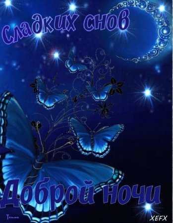 Спокойной ночи сладких снов