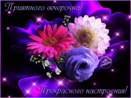Прекрасного вечера и хорошего настроения