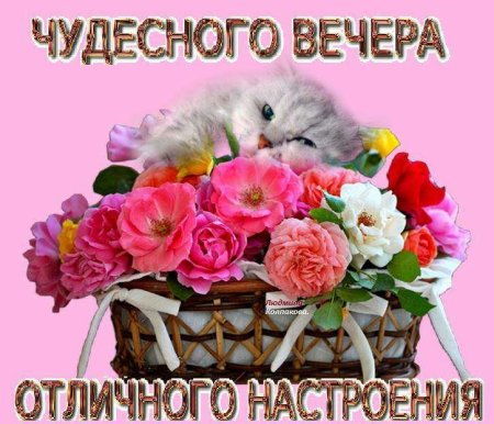 Прекрасного вечера и хорошего настроения