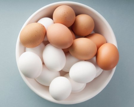 Яйцо (пищевой продукт)