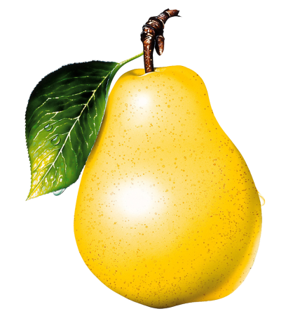 Pear (Пэар) - груша