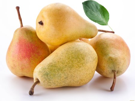 Груша бергамот князя Трубецкого