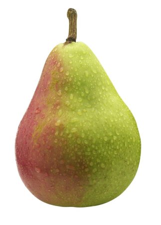 Груша на белом фоне