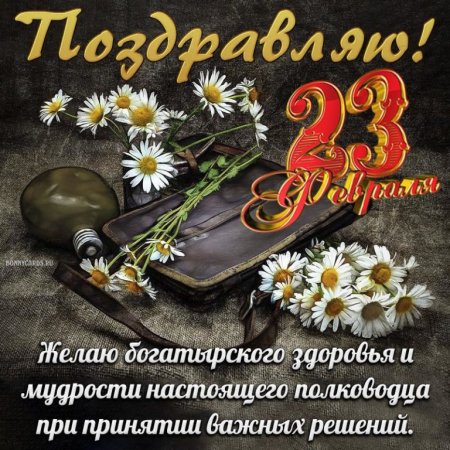 С праздником дорогие наши мужчины