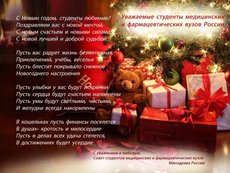 Новогоднее поздравление от студентов