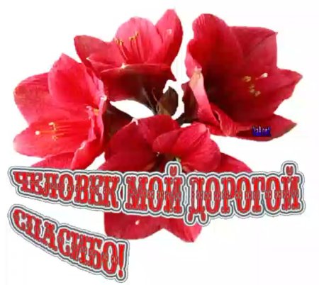 Спасибо солнышко