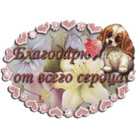 Благодарю от всего сердца
