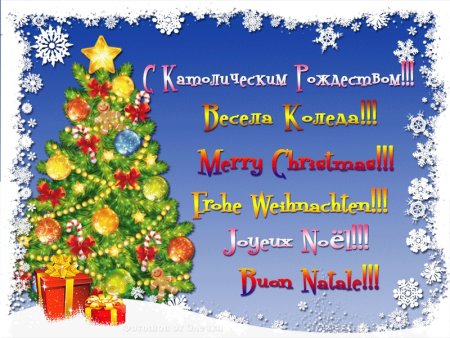 Католический новый год поздравления