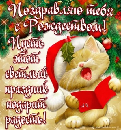 Прикольные открытки с Рождеством