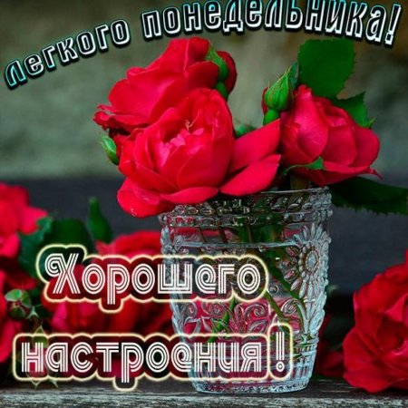 Хорошего понедельника и отличного настроения