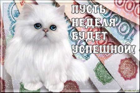 Успешной и легкой недели