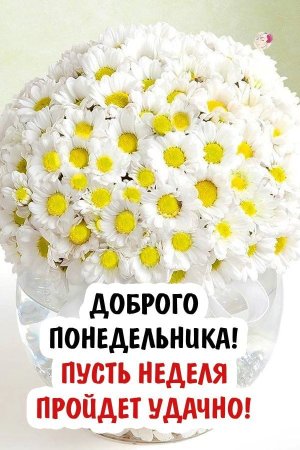 Стдньным утром понедельника