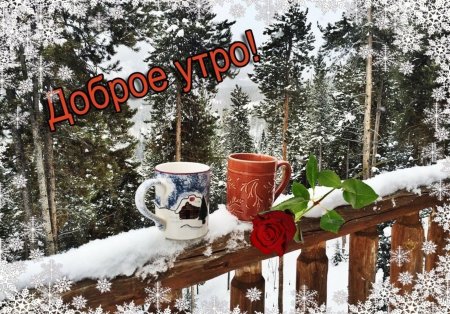 Пожелания с добрым снежным утром