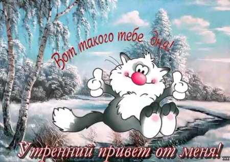 Смешные зимние пожелания с добрым утром
