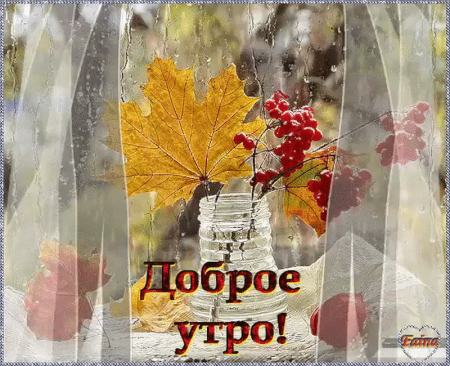 Доброе дождливое осеннее утро