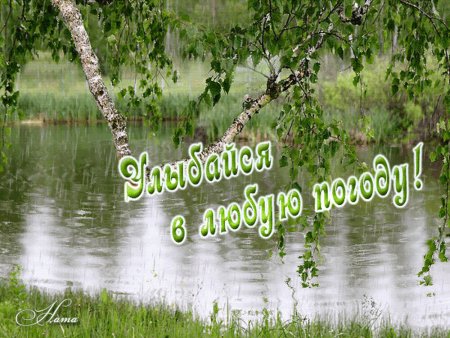 Доброго дня в любую погоду