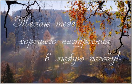 С до.рым осеним дождливым утром