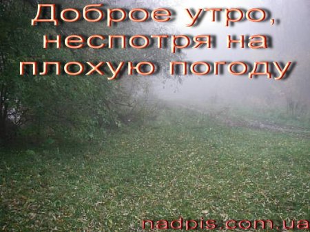 Открытки с добрым дождливым утром