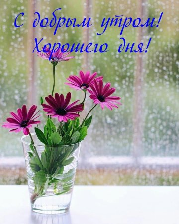 Доброе дождливое утро