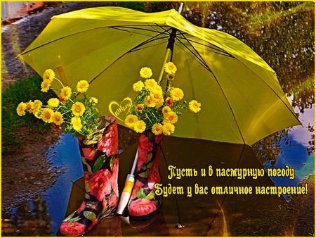 Хорошего нас иоения в лю.ую МОГОДК