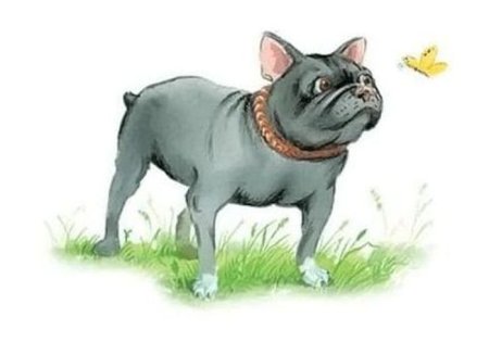 Л Н толстой Булька