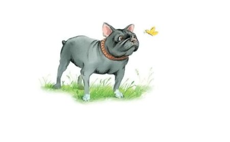 Лев Николаевич толстой Булька