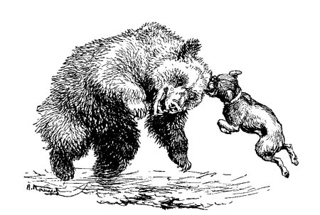 Толстой Булька раскраска