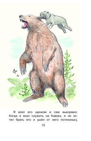 Толстой Булька раскраска