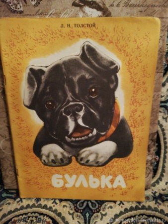Лев толстой Булька