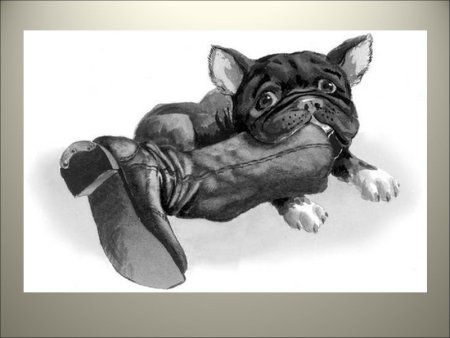 Толстой л. "Булька"