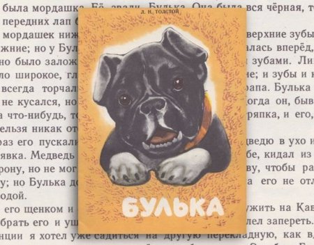 Произведение л н Толстого Булька