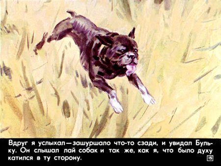 Лев толстой Булька