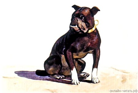 Лев толстой Булька