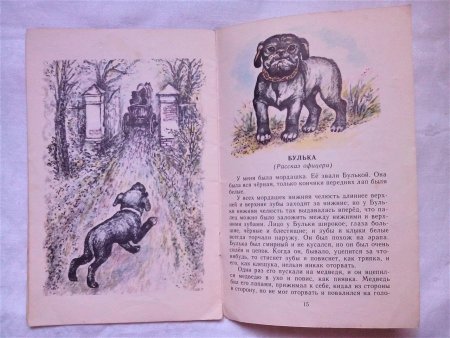 Лев толстой Булька читательский дневник