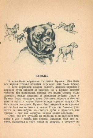 Рассказ л.н.Толстого Булька