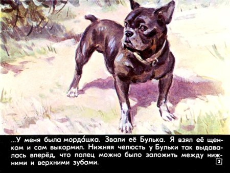 Лев Николаевич толстой Булька