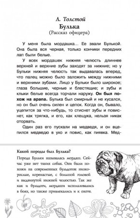 Лев Николаевич толстой Булька