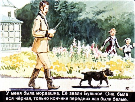 Булька толстой иллюстрации