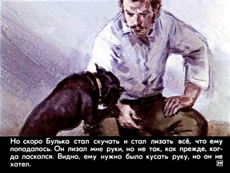 Льва Николаевича Булька