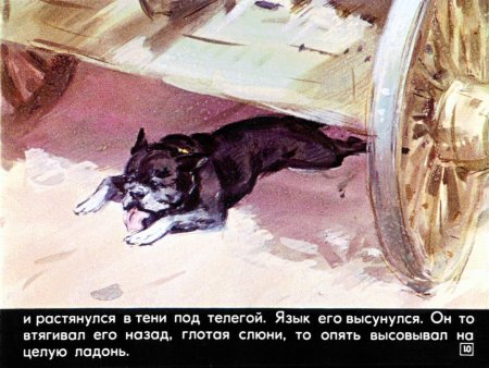 Собака Булька толстой