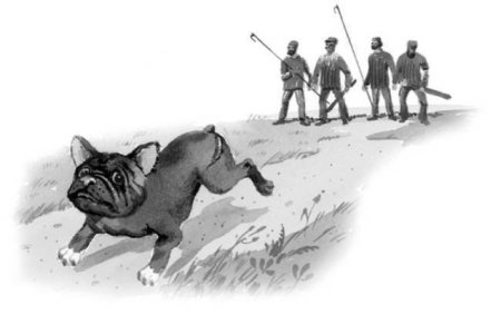 Иллюстрации бульки Льва Николаевича Толстого