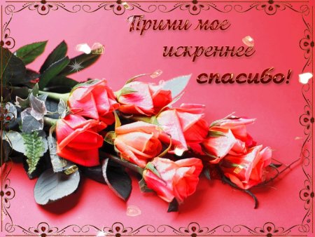 Открытки сблогодарностью
