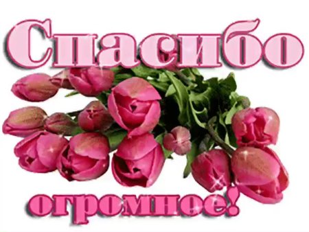 Спасибо дорогая сестричка