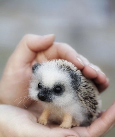 Самые милые животные