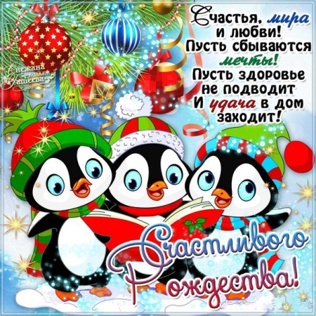 Прикольные поздравления с Рождеством