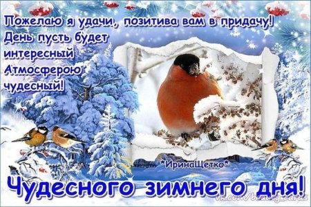 Отличного зимнего воскресного дня
