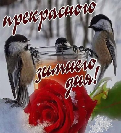 Доброго зимнего утра и хорошего дня